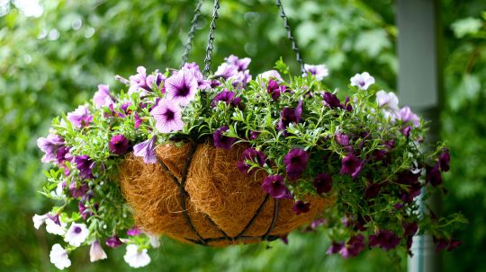 Подвесные корзины
 - декор для сада